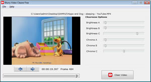 Blurry Video Clearer